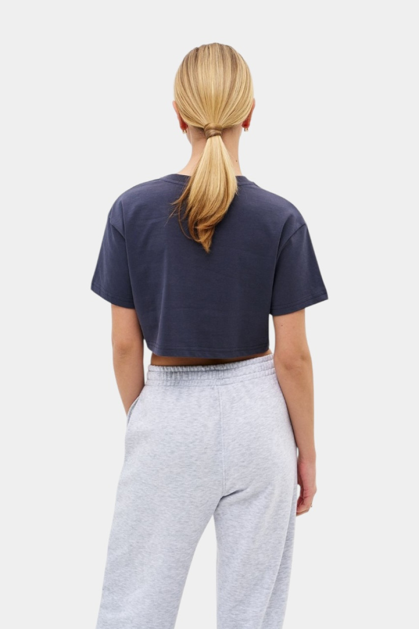 Серые спортивные штаны Elegance Joggers GNZ