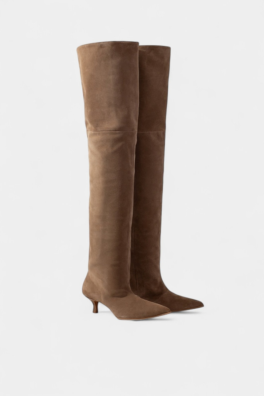 Коричневі ботфорти Alia BH8324002 Kachorovska (замша)