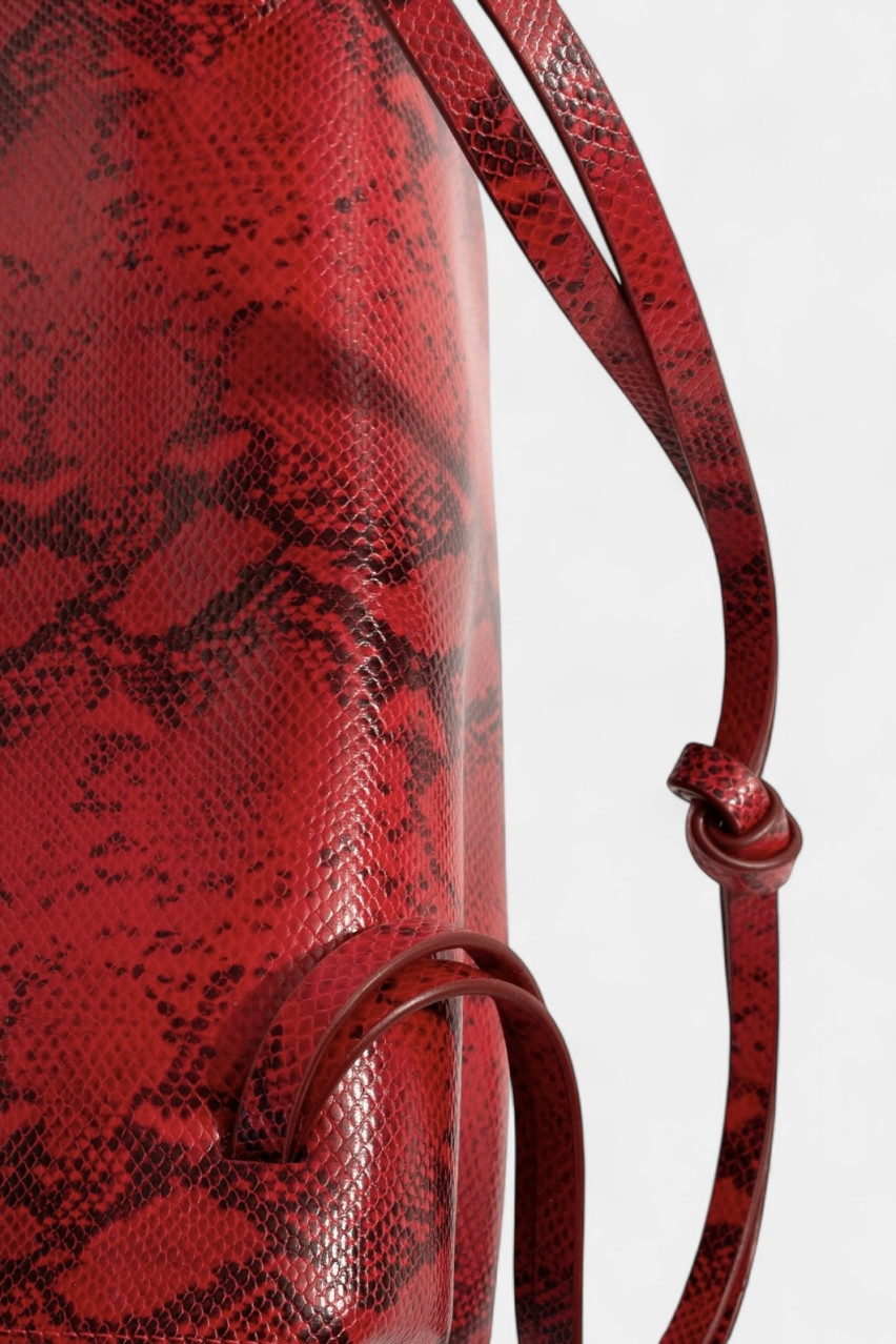 Красная сумка Rebecca Baguette с принтом L9864 Kachorovska (серебряная фурнитура)
