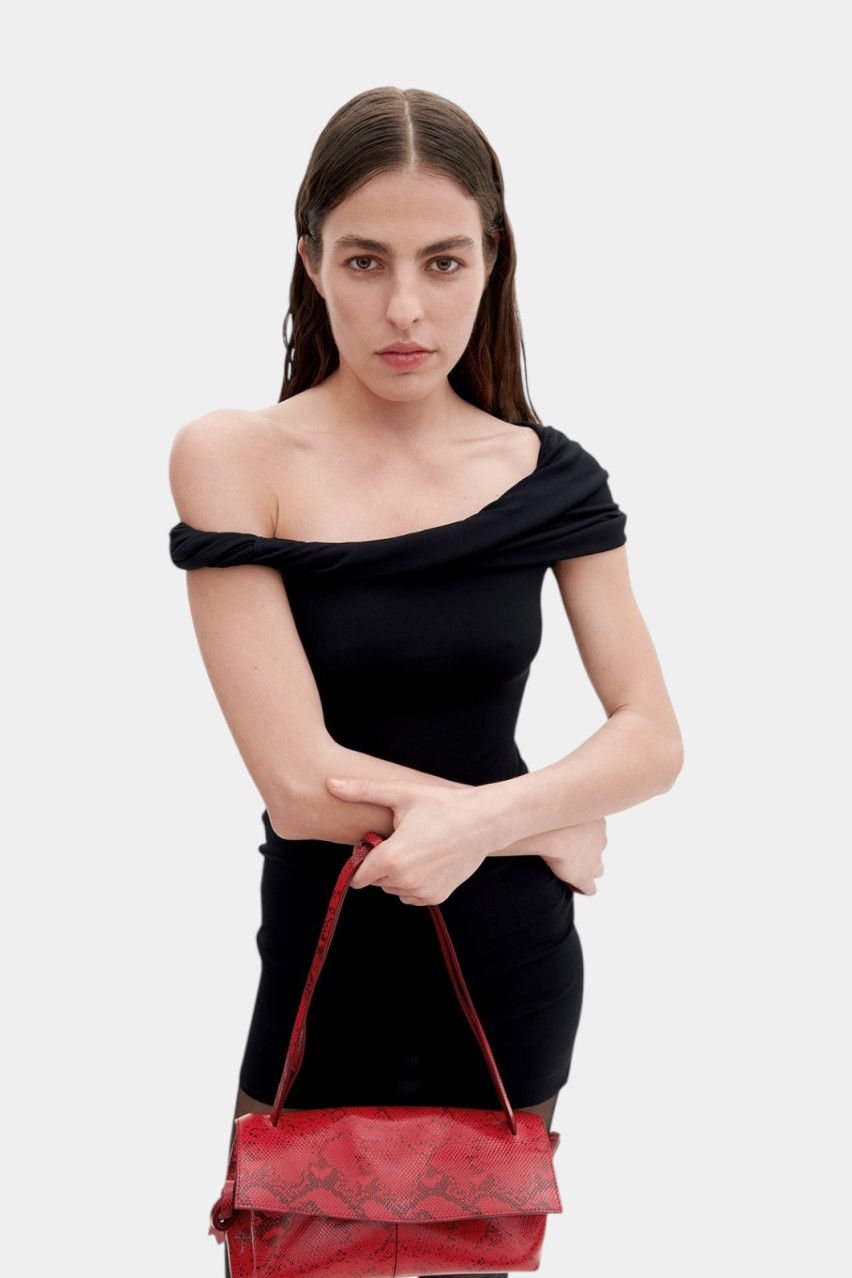 Красная сумка Rebecca Baguette с принтом L9864 Kachorovska (серебряная фурнитура)