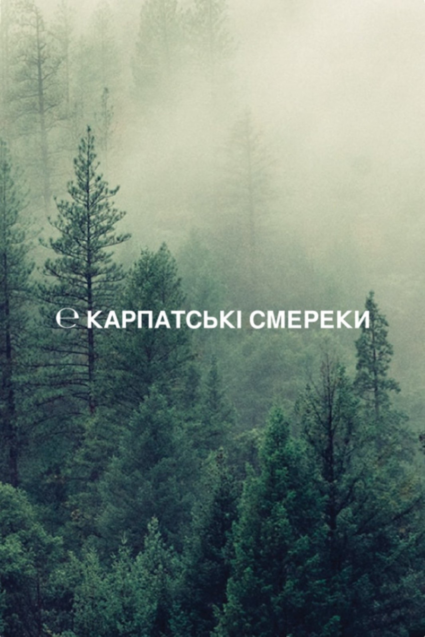 Гель-желе для купания «Карпатские ели» GEL500SM sense education