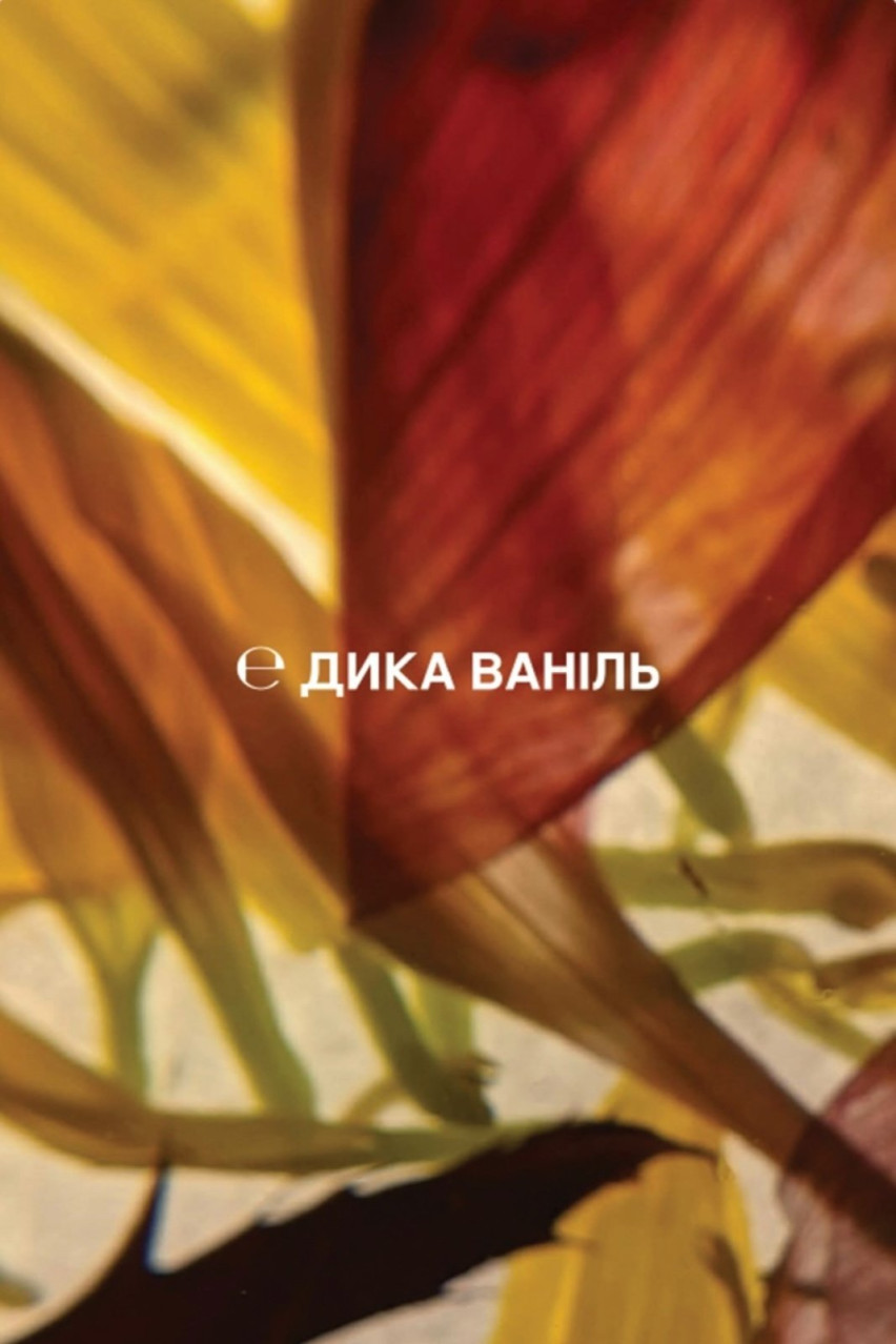 Кондиціонер «Дика ваніль» CO200WV sense education