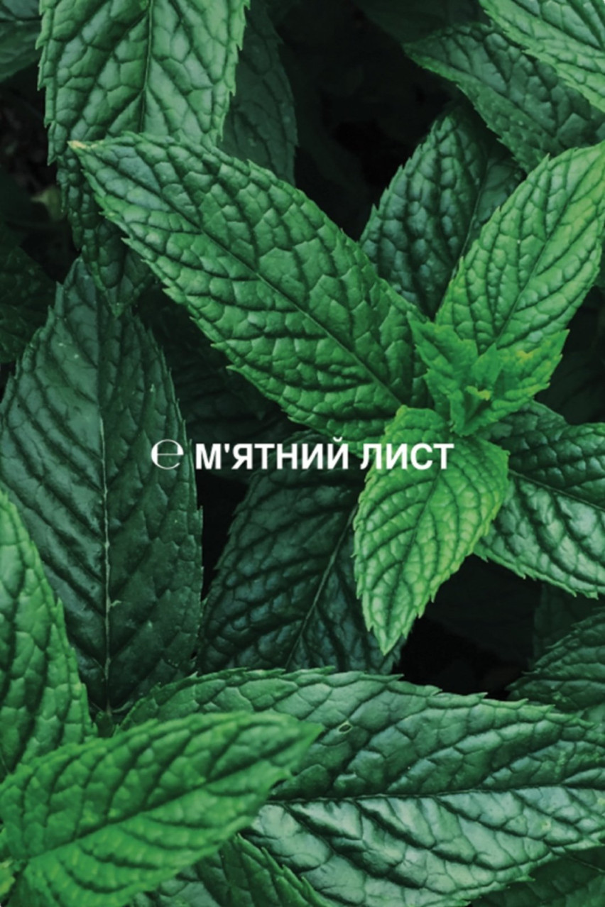 Бальзам для губ «М'ятний лист» з SPF10 BALSPF10MI sense education